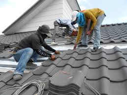 Best Metal Roofing Installation  in Maple Grove, MN